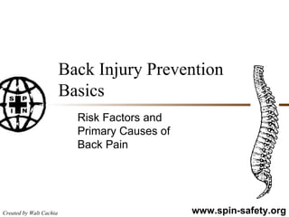 Back Injury Prevention Basics Risk Factors and Primary Causes of Back Pain 