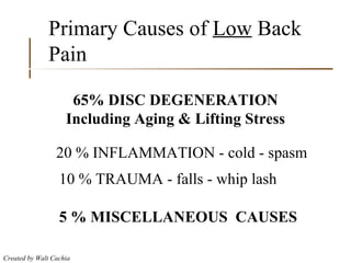 Primary Causes of  Low  Back Pain 65% DISC DEGENERATION Including Aging & Lifting Stress 20 % INFLAMMATION - cold - spasm 10 % TRAUMA - falls - whip lash 5 % MISCELLANEOUS  CAUSES 