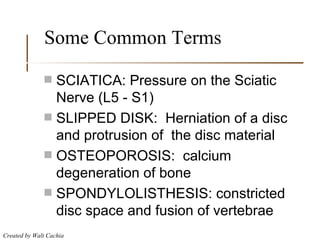 Some Common Terms SCIATICA: Pressure on the Sciatic Nerve (L5 - S1) SLIPPED DISK:  Herniation of a disc and protrusion of  the disc material OSTEOPOROSIS:  calcium degeneration of bone SPONDYLOLISTHESIS: constricted disc space and fusion of vertebrae 