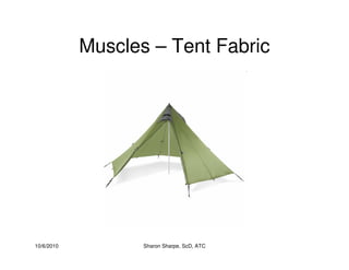 10/6/2010 Sharon Sharpe, ScD, ATC
Muscles – Tent Fabric
 
