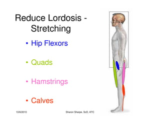 10/6/2010 Sharon Sharpe, ScD, ATC
Reduce Lordosis -
Stretching
• Hip Flexors
• Quads
• Hamstrings
• Calves
 