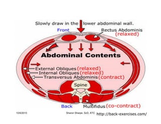 10/6/2010 Sharon Sharpe, ScD, ATC
http://back-exercises.com/
 