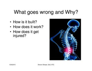 10/6/2010 Sharon Sharpe, ScD, ATC
What goes wrong and Why?
• How is it built?
• How does it work?
• How does it get
injured?
 
