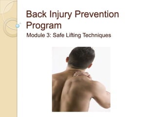 Back Injury Prevention
Program
Module 3: Safe Lifting Techniques
 