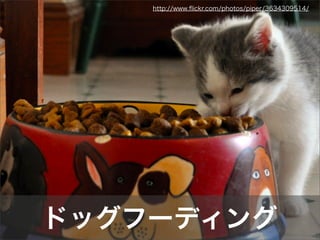 http://www.ﬂickr.com/photos/piper/3634309514/
ドッグフーディング
 