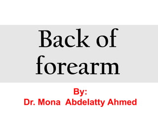 Back of forearm_221220_164624.pdf muscles | PDF