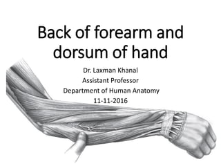 Back of forearm and
dorsum of hand
Dr. Laxman Khanal
Assistant Professor
Department of Human Anatomy
11-11-2016
 