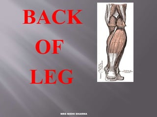 BACK
OF
LEG
MRS NIDHI SHARMA
 