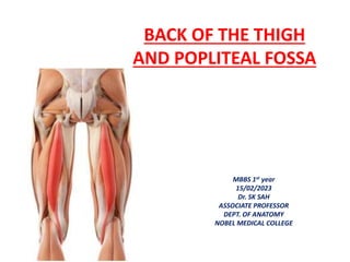 BACK OF THE THIGH
AND POPLITEAL FOSSA
MBBS 1st year
15/02/2023
Dr. SK SAH
ASSOCIATE PROFESSOR
DEPT. OF ANATOMY
NOBEL MEDICAL COLLEGE
 
