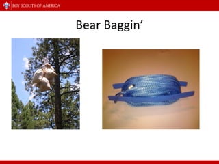 Bear Baggin’ 