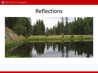 Reflections 