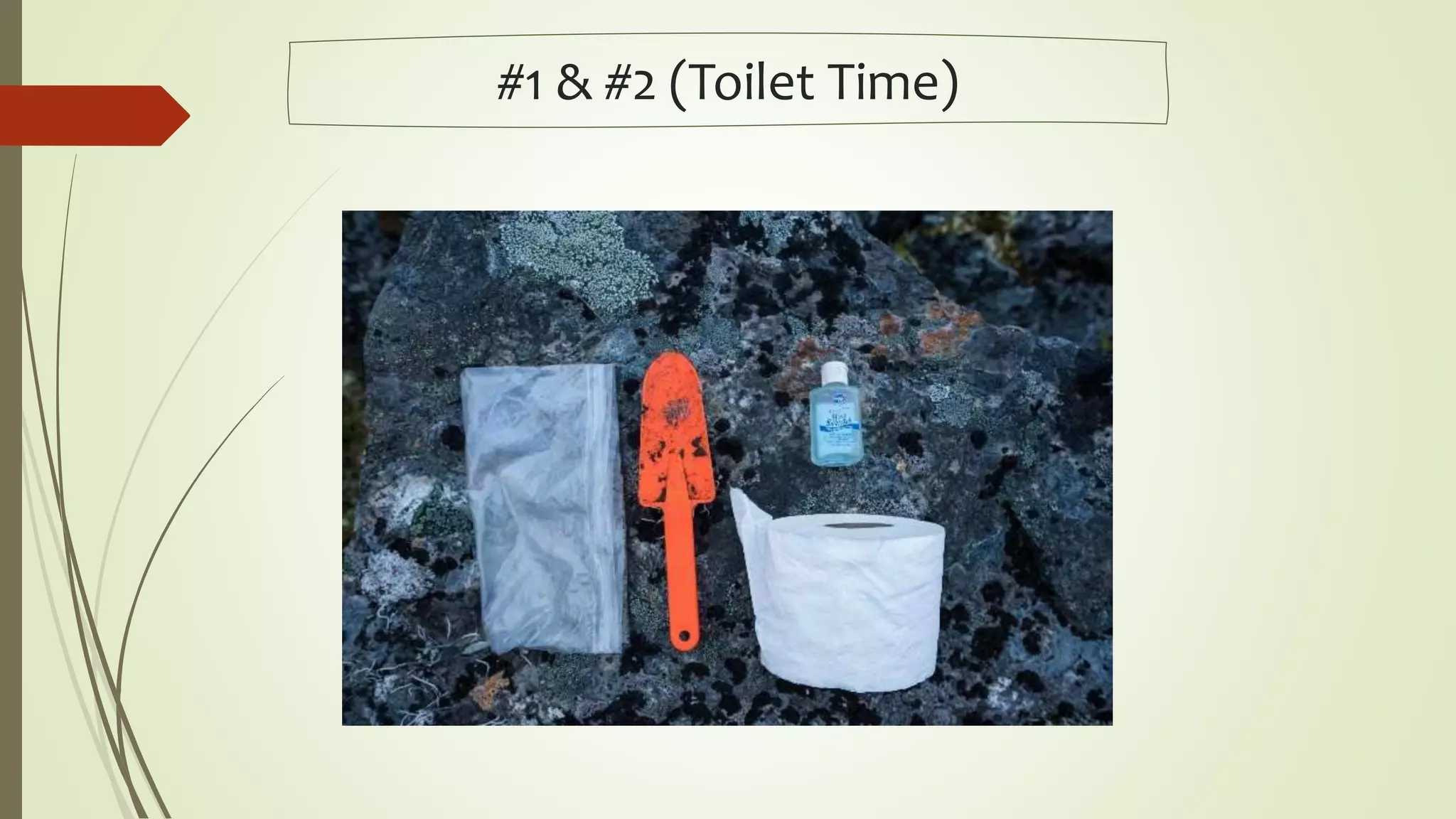 #1 & #2 (Toilet Time)
 
