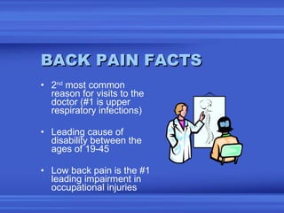 BACK PAIN FACTS <ul><li>2 nd  most common reason for visits to the doctor (#1 is upper respiratory infections) </li></ul><...