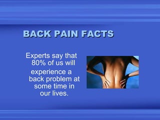 BACK PAIN FACTS <ul><li>Experts say that 80% of us will  </li></ul><ul><li>experience a back problem at some time in our l...