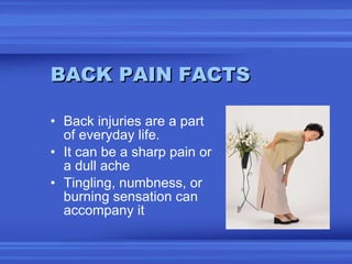 BACK PAIN FACTS <ul><li>Back injuries are a part of everyday life. </li></ul><ul><li>It can be a sharp pain or a dull ache...
