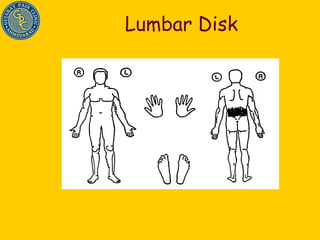 Lumbar Disk 