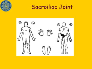 Sacroiliac Joint 