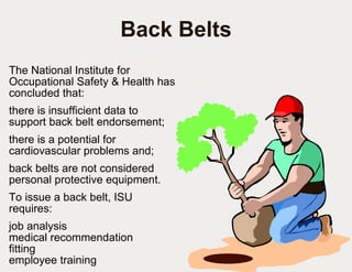 Back Belts The National Institute for Occupational Safety & Health has concluded that: there is insufficient data to support back belt endorsement; there is a potential for cardiovascular problems and; back belts are not considered personal protective equipment.  To issue a back belt, ISU requires: job analysis medical recommendation fitting  employee training 