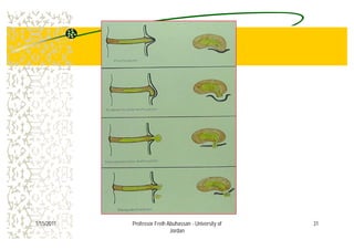 311/15/2011 Professor Freih Abuhassan - University of
Jordan
 