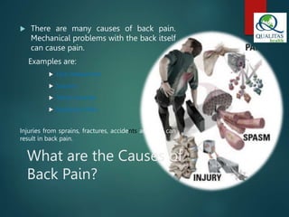 Back Pain.pptx