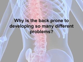 Why is the back prone to
developing so many different
         problems?
 