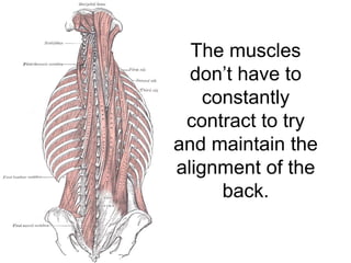 The muscles
  don’t have to
    constantly
 contract to try
and maintain the
alignment of the
      back.
 