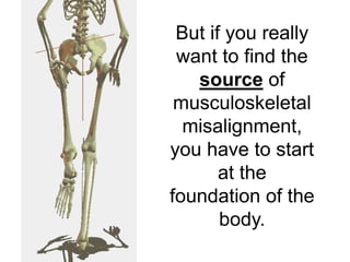But if you really
 want to find the
   source of
 musculoskeletal
  misalignment,
you have to start
       at the
foundation of the
       body.
 