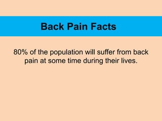 Back Pain Facts

80% of the population will suffer from back
  pain at some time during their lives.
 