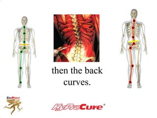 then the back
curves.
 