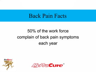 50% of the work force
complain of back pain symptoms
each year
Back Pain Facts
 