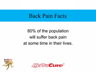 80% of the population
will suffer back pain
at some time in their lives.
Back Pain Facts
 