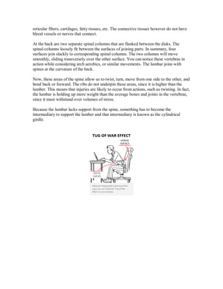reticular fibers, cartilages, fatty tissues, etc. The connective tissues however do not have
blood vessels or nerves that connect.
At the back are two separate spinal columns that are flanked between the disks. The
spinal columns loosely fit between the surfaces of joining parts. In summary, four
surfaces join slackly to corresponding spinal columns. The two columns will move
smoothly, sliding transversely over the other surface. You can notice these vertebras in
action while considering arch aerobics, or similar movements. The lumbar joins with
spines at the curvature of the back.
Now, these areas of the spine allow us to twist, turn, move from one side to the other, and
bend back or forward. The ribs do not underpin these areas, since it is higher than the
lumber. This means that injuries are likely to occur from actions, such as twisting. In fact,
the lumbar is holding up more weight than the average bones and joints in the vertebrae,
since it must withstand over volumes of stress.
Because the lumbar lacks support from the spine, something has to become the
intermediary to support the lumber and that intermediary is known as the cylindrical
girdle.
 