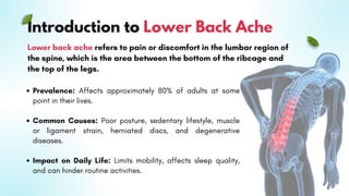 Lower Back pain solutions through Ayurveda | PDF