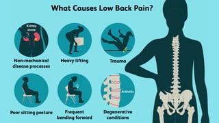 Lower Back pain solutions through Ayurveda | PDF