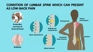 Lower Back pain solutions through Ayurveda | PDF
