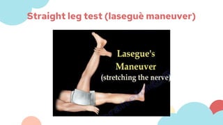 Straight leg test (laseguè maneuver)
 