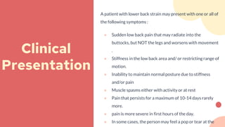 A patient with lower back strain may present with one or all of
the following symptoms :
● Sudden low back pain that may radiate into the
buttocks, but NOT the legs and worsens with movement
.
● Stiffness in the low back area and/ or restricting range of
motion.
● Inability to maintain normal posture due to stiffness
and/or pain
● Muscle spasms either with activity or at rest
● Pain that persists for a maximum of 10-14 days rarely
more.
● pain is more severe in first hours of the day.
● In some cases, the person may feel a pop or tear at the
Clinical
Presentation
 