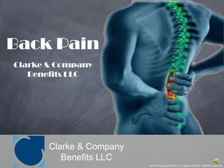 Back Pain Clarke & Company Benefits LLC Clarke & Company Benefits LLC Clarke & Company Benefits, LLC. Beyond Benefits, Healthier Companies 