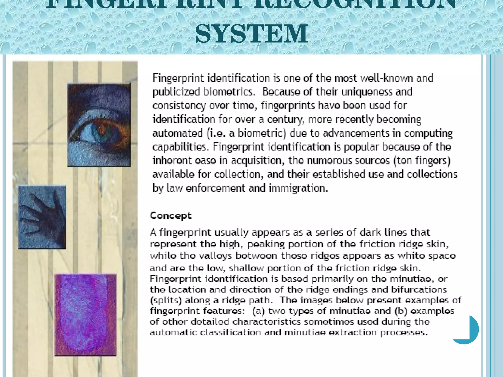 FINGERPRINT RECOGNITION SYSTEM 