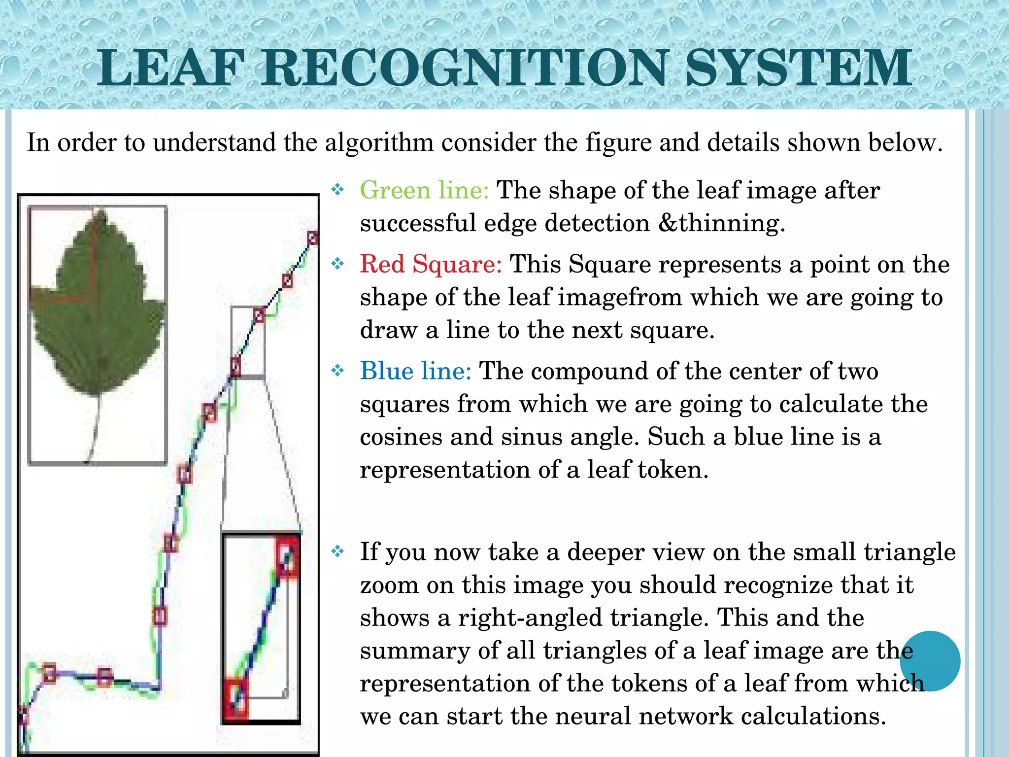 LEAF RECOGNITION SYSTEM Green line:  The shape of the leaf image after successful edge detection &thinning. Red Square:  This Square represents a point on the shape of the leaf imagefrom which we are going to draw a line to the next square. Blue line:  The compound of the center of two squares from which we are going to calculate the cosines and sinus angle. Such a blue line is a representation of a leaf token. If you now take a deeper view on the small triangle zoom on this image you should recognize that it shows a right-angled triangle. This and the summary of all triangles of a leaf image are the representation of the tokens of a leaf from which we can start the neural network calculations. In order to understand the algorithm consider the figure and details shown below. 