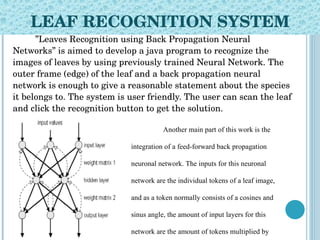 LEAF RECOGNITION SYSTEM ” Leaves Recognition using Back Propagation Neural Networks” is aimed to develop a java program to recognize the images of leaves by using previously trained Neural Network. The outer frame (edge) of the leaf and a back propagation neural network is enough to give a reasonable statement about the species it belongs to. The system is user friendly. The user can scan the leaf and click the recognition button to get the solution.   Another main part of this work is the integration of a feed-forward back propagation neuronal network. The inputs for this neuronal network are the individual tokens of a leaf image, and as a token normally consists of a cosines and sinus angle, the amount of input layers for this network are the amount of tokens multiplied by two. The image on the left should give you an idea of the neuronal network that takes place in the Leaves Recognition application. 