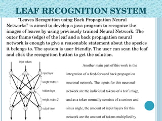 LEAF RECOGNITION SYSTEM ,[object Object],[object Object],Another main part of this work is the integration of a feed-forward back propagation neuronal network. The inputs for this neuronal network are the individual tokens of a leaf image, and as a token normally consists of a cosines and sinus angle, the amount of input layers for this network are the amount of tokens multiplied by two. The image on the left should give you an idea of the neuronal network that takes place in the Leaves Recognition application. 