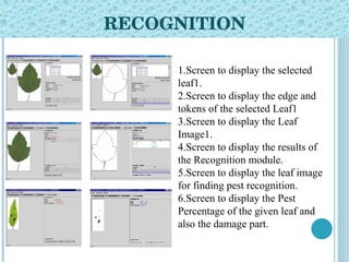 RECOGNITION 1.Screen to display the selected leaf1. 2.Screen to display the edge and tokens of the selected Leaf1 3.Screen to display the Leaf Image1. 4.Screen to display the results of the Recognition module. 5.Screen to display the leaf image for finding pest recognition. 6.Screen to display the Pest Percentage of the given leaf and also the damage part. 