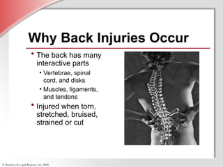 Comprehensive Back Safety Training: Prevention and Proper Lifting ...
