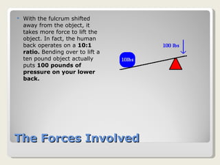 The Forces Involved With the fulcrum shifted away from the object, it takes more force to lift the object. In fact, the human back operates on a  10:1 ratio.  Bending over to lift a ten pound object actually puts  100 pounds of pressure on your lower back. 