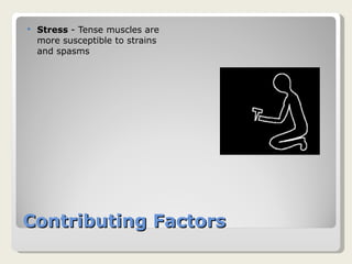 Contributing Factors Stress  - Tense muscles are more susceptible to strains and spasms 