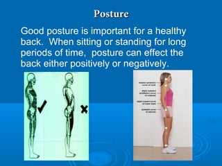 PosturePosture
Good posture is important for a healthy
back. When sitting or standing for long
periods of time, posture can effect the
back either positively or negatively.
 