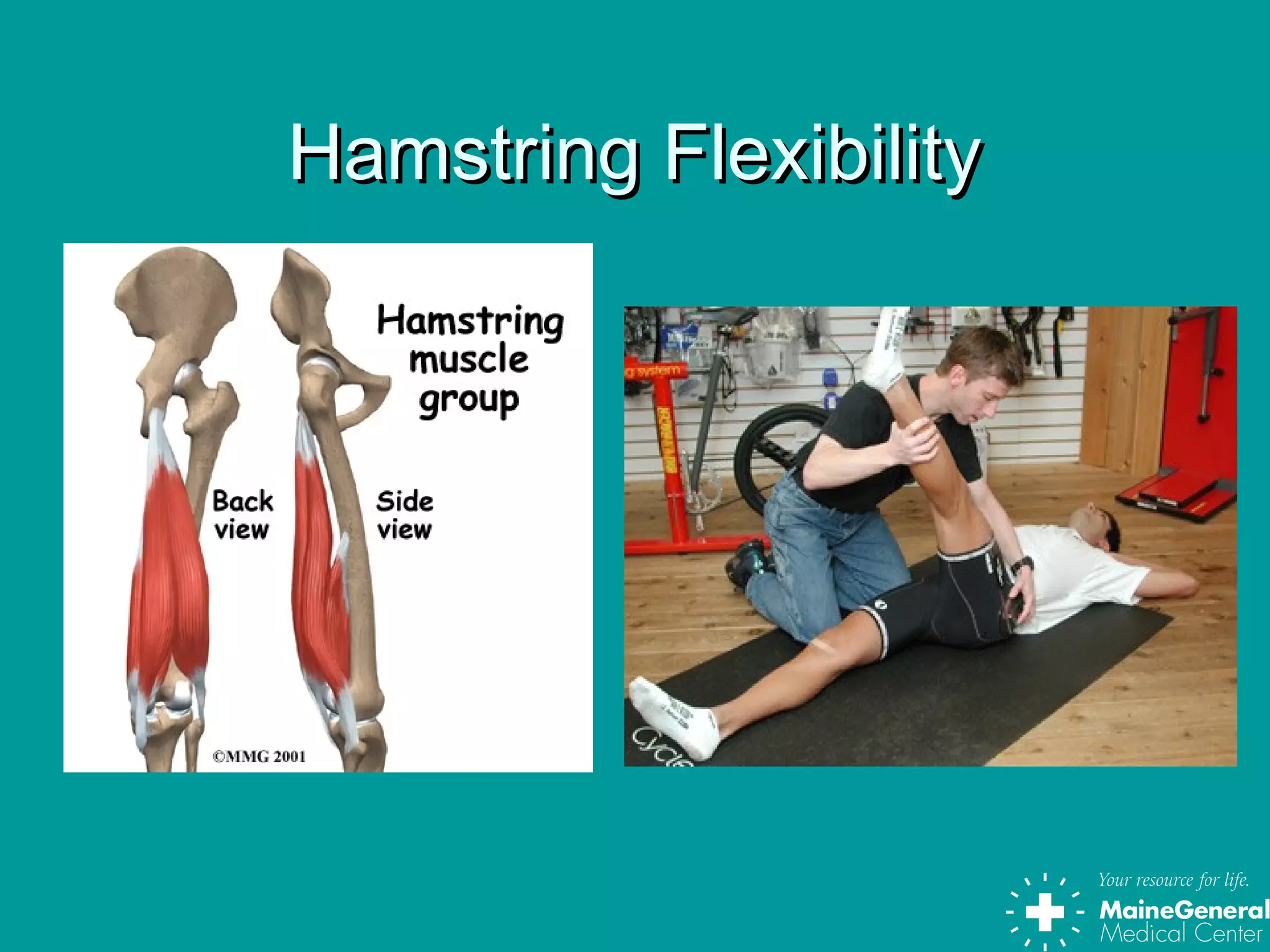 Hamstring FlexibilityHamstring Flexibility
 