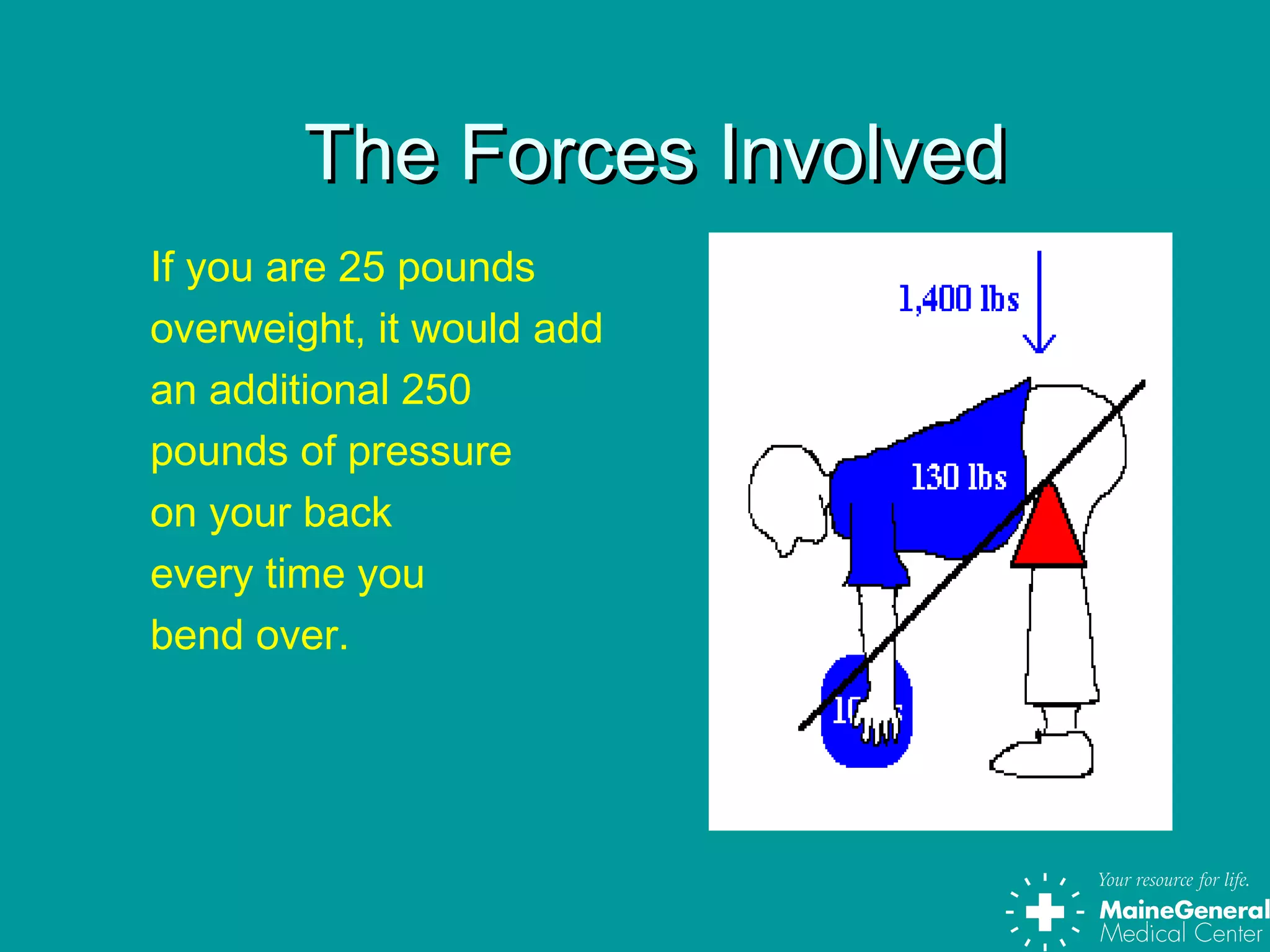 The Forces InvolvedThe Forces Involved
If you are 25 pounds
overweight, it would add
an additional 250
pounds of pressure
on your back
every time you
bend over.
 