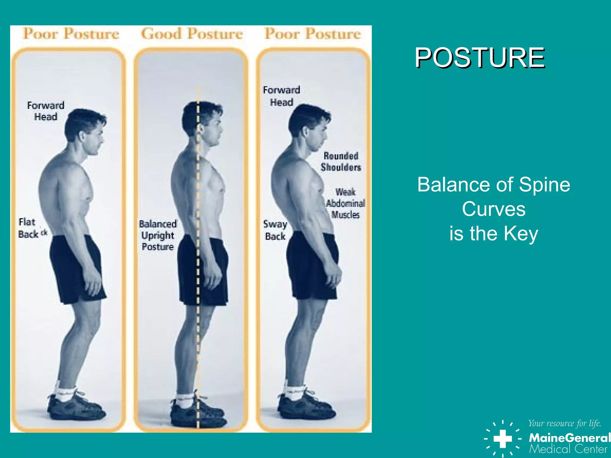 POSTUREPOSTURE
Balance of Spine
Curves
is the Key
 